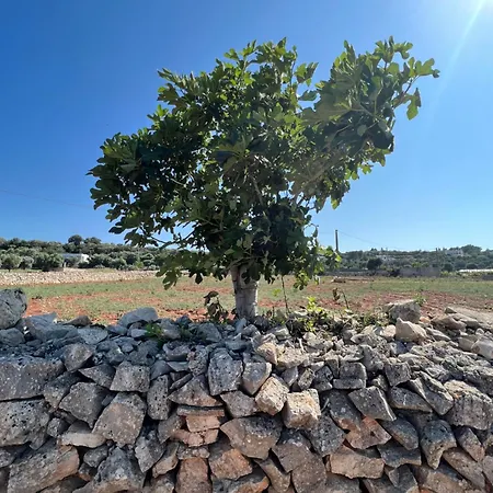 Prospettiva Polignano Gasthof Polignano a Mare